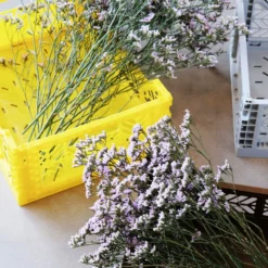 Aykasa Foldable Boxes - Midi -Hallway Salg aykasa kasser aykasa aykasa foldekasse midi warm taupe 3197252 scaled