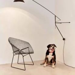 DCW Mantis BS2 -Hallway Salg dcw lampe mantis bs2 black satin 8938754 scaled