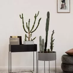 Ferm LIVING Plant Box -Hallway Salg ferm living blomsterkasse plant box ferm living cashmere 2946831 scaled