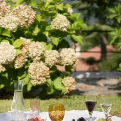 Frederik Bagger Crispy White - 2 Pcs -Hallway Salg frederik bagger vinglas frederik bagger crispy white 2 stk transparent 7972783 scaled