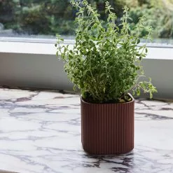 Hay Facade -Hallway Salg hay krukke facade herb pot medium 1205256 scaled
