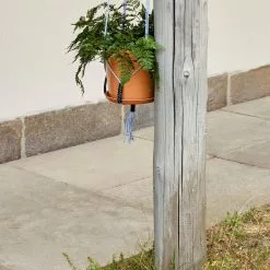 Hay Phanta Plant Hanger -Hallway Salg hay plantestand phantom plant hanger green 7186342 scaled