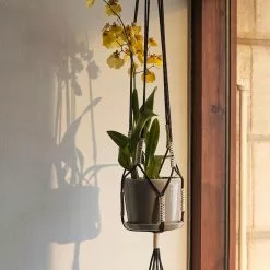 Hay Phanta Plant Hanger -Hallway Salg hay plantestand phantom plant hanger green 8746404 scaled