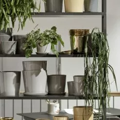 Hay Botanical Family -Hallway Salg hay urtepotte botanical family dusty green m 1035008.png scaled