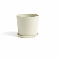 Hay Botanical Family