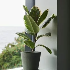 Hay Flowerpot With Saucer -Hallway Salg hay urtepotte flowerpot with saucer graa m 3594507 scaled