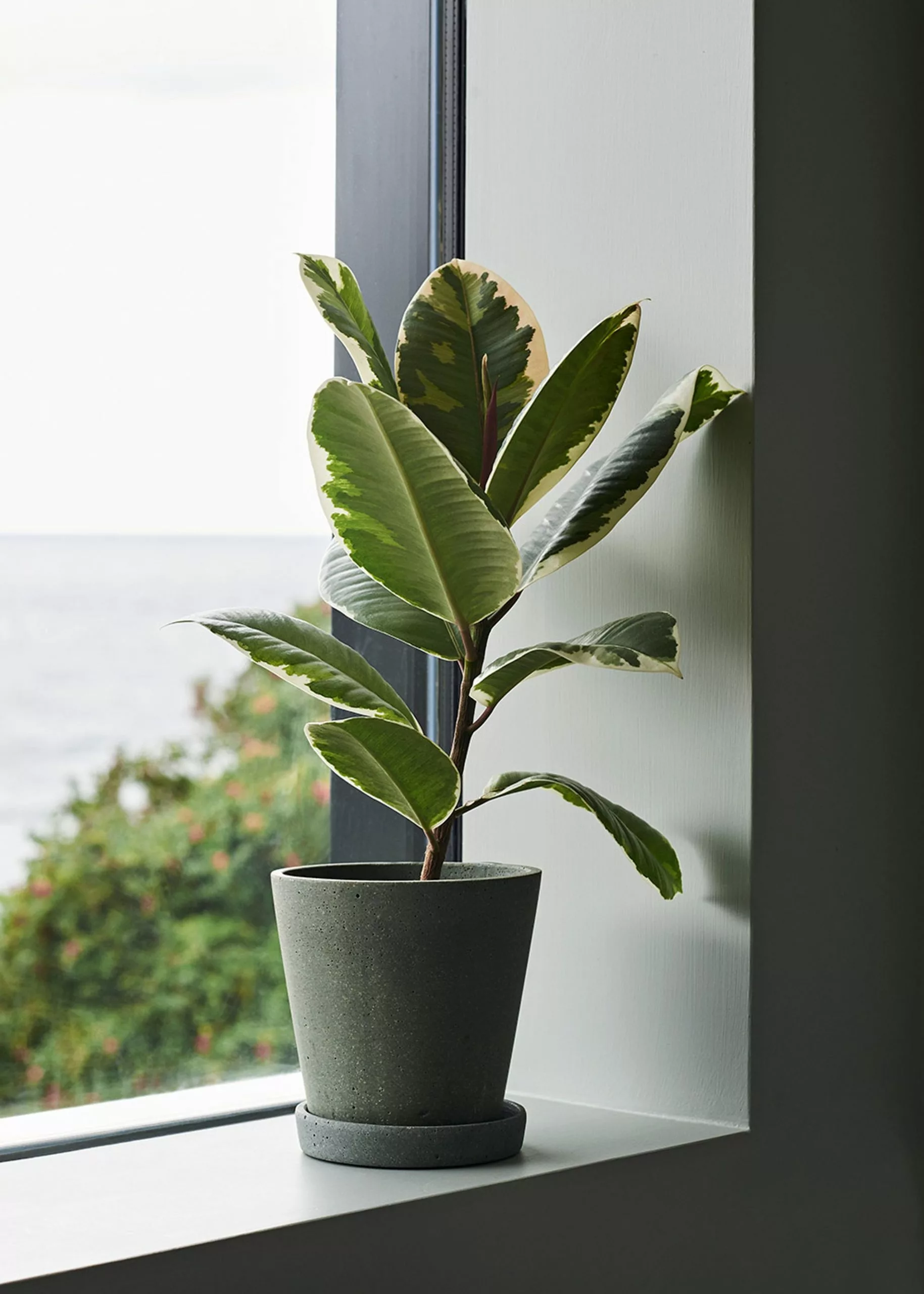 Hay Flowerpot With Saucer 3 Hay Flowerpot With Saucer - Billede 2