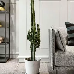 Hay Flowerpot With Saucer -Hallway Salg hay urtepotte flowerpot with saucer terrakotta l 6859177 scaled