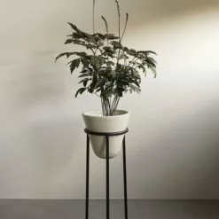 Menu Daiza Planter -Hallway Salg menu krukke menu daiza planter ivory high 7828672 scaled