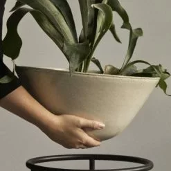 Menu Daiza Planter -Hallway Salg menu krukke menu daiza planter ivory oe48 4522213 scaled