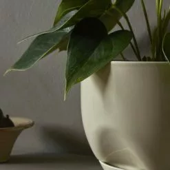 Menu Hydrous Planter -Hallway Salg menu krukke menu hydrous planter ashen small 20788.png scaled