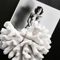 New Mags SUMO - By Helmut Newton -Hallway Salg new mags bog sumo helmut newton 9769994 scaled