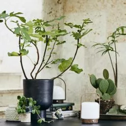 Nordal GALOA Planter -Hallway Salg nordal potte galoa planter aluminium small 2691622 scaled