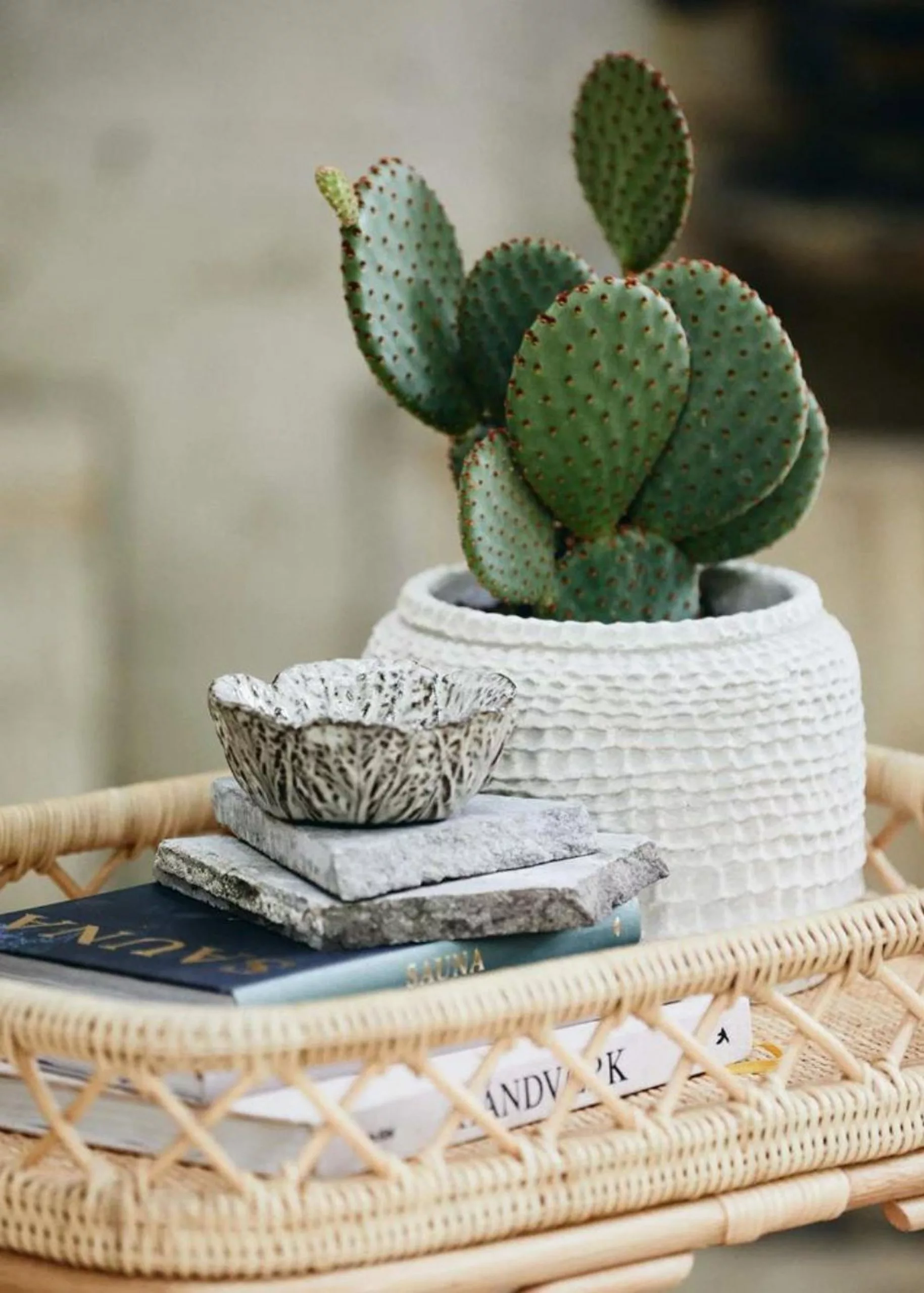 Nordal LEAFA Bowl 5 Nordal LEAFA Bowl - Billede 3