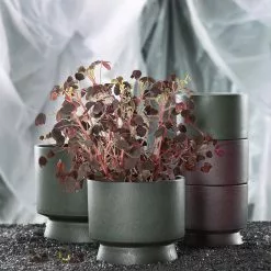 Rosendahl Flower Pot -Hallway Salg rosendahl urtepotte rosendahl urtepotteskjuler oe15 bordeaux 4475394