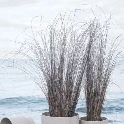 Rosendahl Flower Pot -Hallway Salg rosendahl urtepotte rosendahl urtepotteskjuler oe19 bordeaux 5646908 scaled