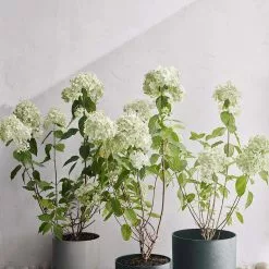 Rosendahl Flower Pot -Hallway Salg rosendahl urtepotte rosendahl urtepotteskjuler oe30 sand 4504387 scaled