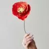 Studio About Paper Flower, Ice Poppy