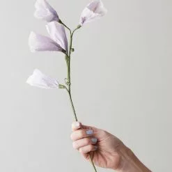 Studio About Paper Flower, Tinkerbell