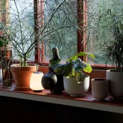 &Tradition Collect - Planters SC72 -Hallway Salg tradition urtepotte collect planter sc69 601e71abe1124 601e762389ebd 601e79f8780a5 milk 3561234