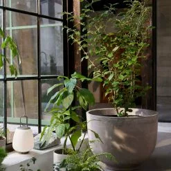 &Tradition Collect - Planters SC72 -Hallway Salg tradition urtepotte collect planter sc69 601e71abe1124 601e762389ebd 601e79f8780a5 milk 5590135 scaled