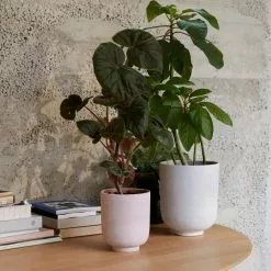 &Tradition Collect - Planters SC72 -Hallway Salg tradition urtepotte collect planter sc69 601e71abe1124 601e762389ebd 601e79f8780a5 milk 6813495 scaled