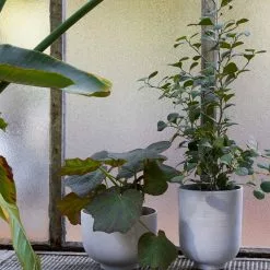 &Tradition Collect - Planters SC72 -Hallway Salg tradition urtepotte collect planter sc69 601e71abe1124 601e762389ebd 601e79f8780a5 milk 7053685 scaled