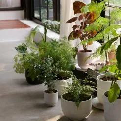 &Tradition Collect - Planters SC72 -Hallway Salg tradition urtepotte collect planter sc69 601e71abe1124 601e762389ebd 601e79f8780a5 milk 9123848 scaled