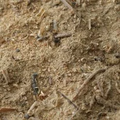 Vipp15 Rubbish Bin -Hallway Salg vipp skraldespand vipp vipp15 rubbish bin rubbish 6283912 scaled